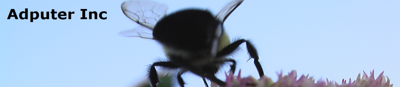 Adputer Header Image
